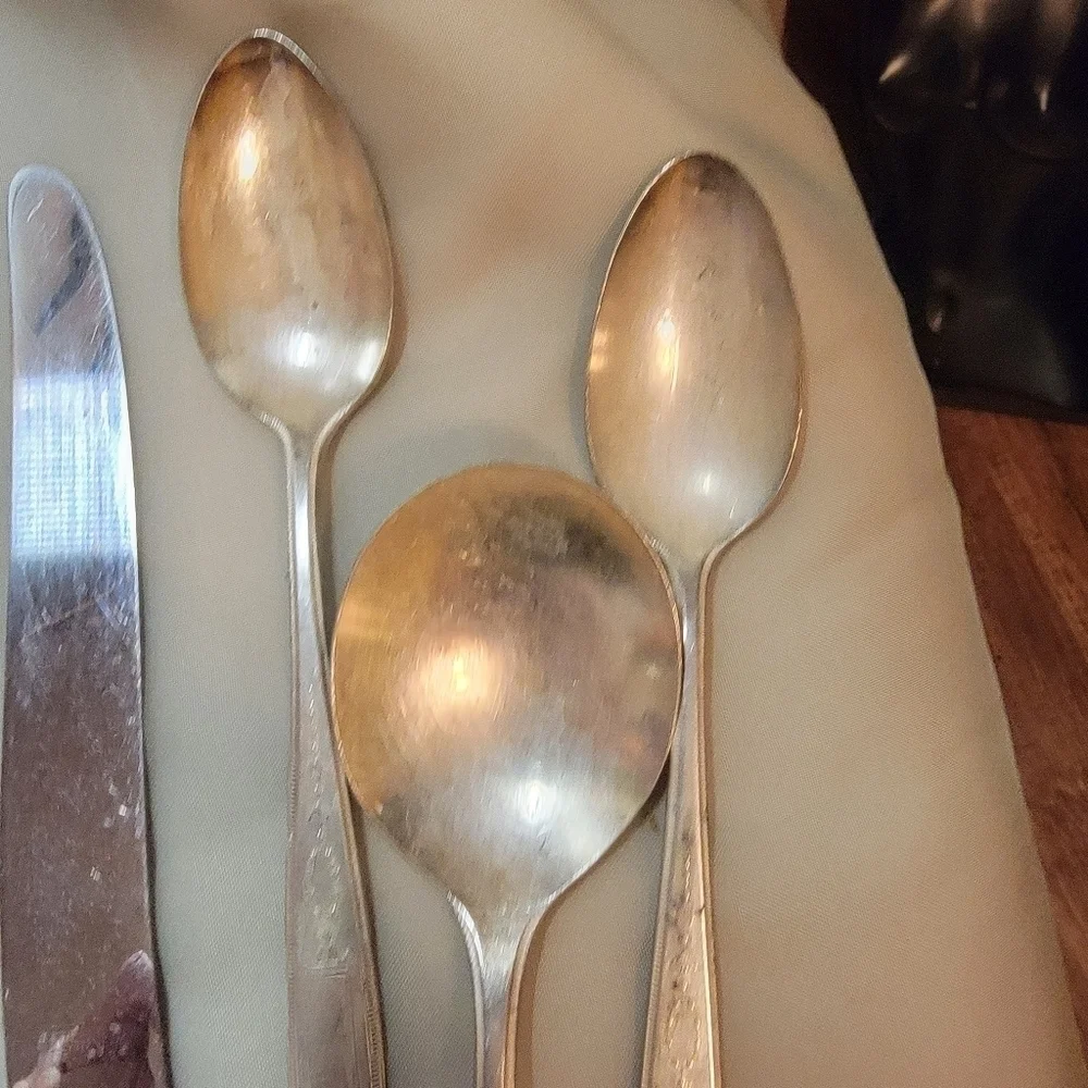 Oneida stainless 1921 knifes and spoons
